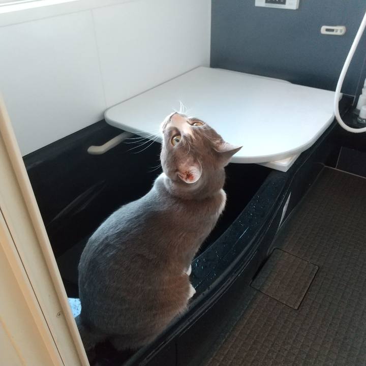 A43dbad8 89ff 4851 b651 b32aee360bb8 1640649933596