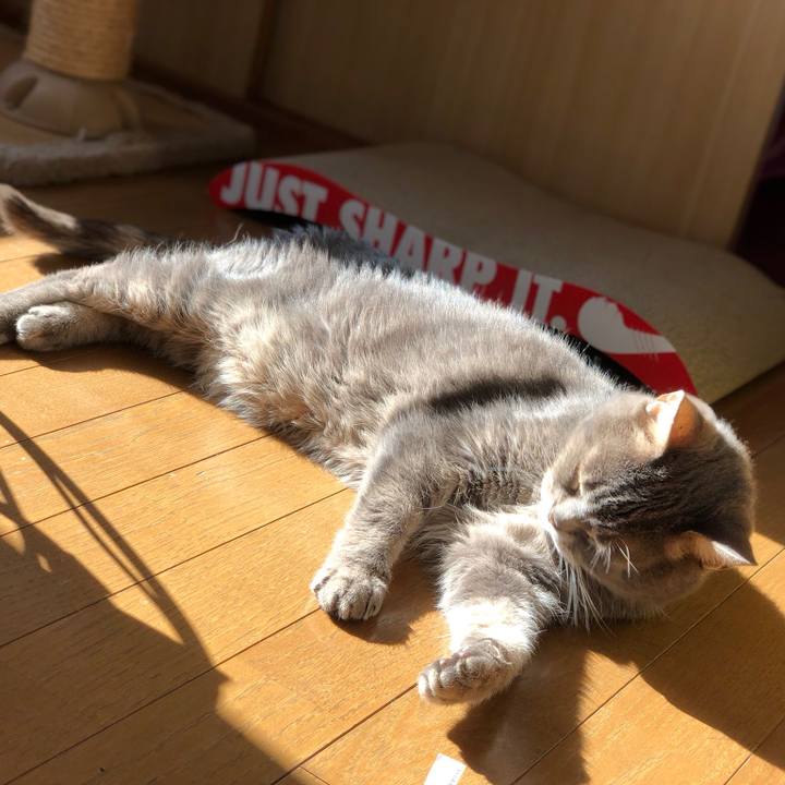 A43dce87 8be6 47fe ad17 138565ec7138 1518945124474