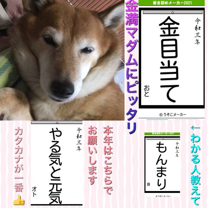 A43dd8b0 c3c2 442b b0f5 ce555758da3f 1609984456517