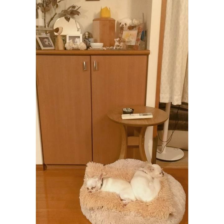 A43dee39 84a8 4673 9dc0 34dc7b015d93 1751121120689