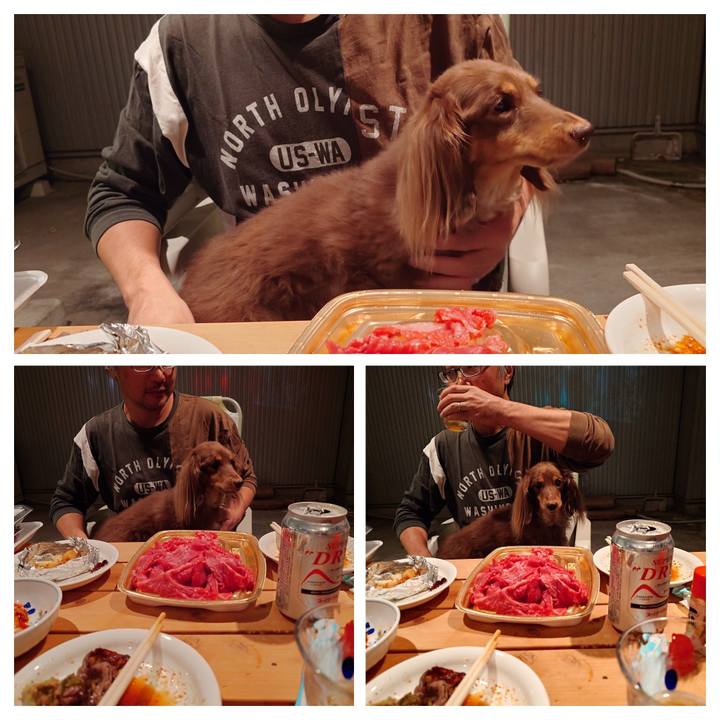 A43e2f4f fe5d 4355 a2b4 9bdfd3b24a7f 1760350185113