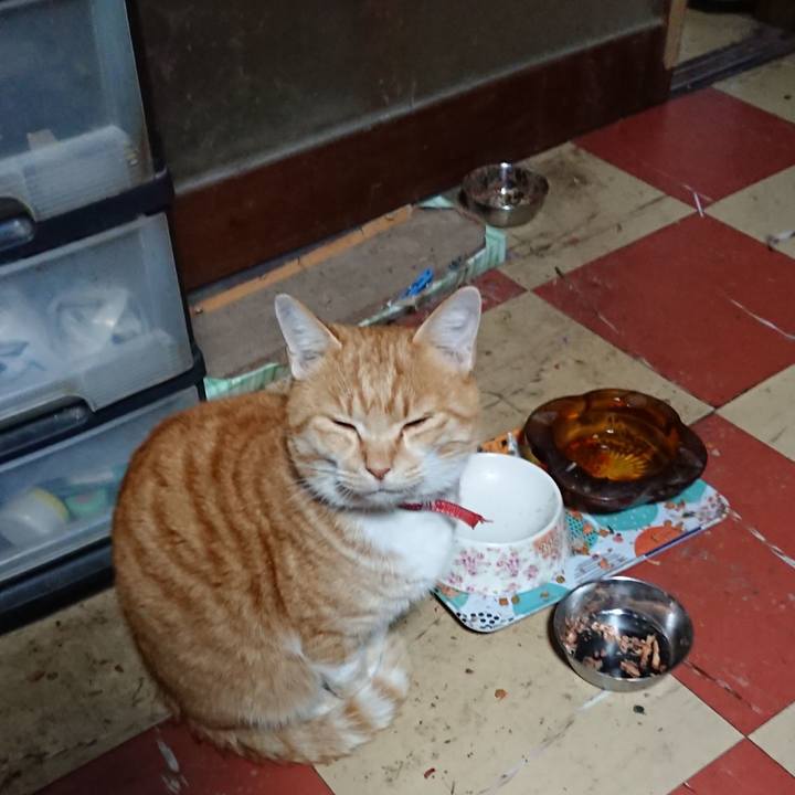 A43e747c f01b 46d4 aa17 30c250980b2e 1575753000884