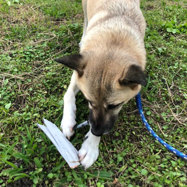 A43e831e 25c4 4f82 a48b 22cf277ed5f4 1574251868900