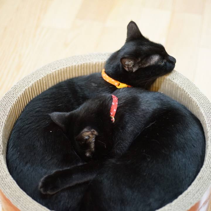 A43e961f 0b61 463e 804c 01cfa31c5d0e 1520584850333