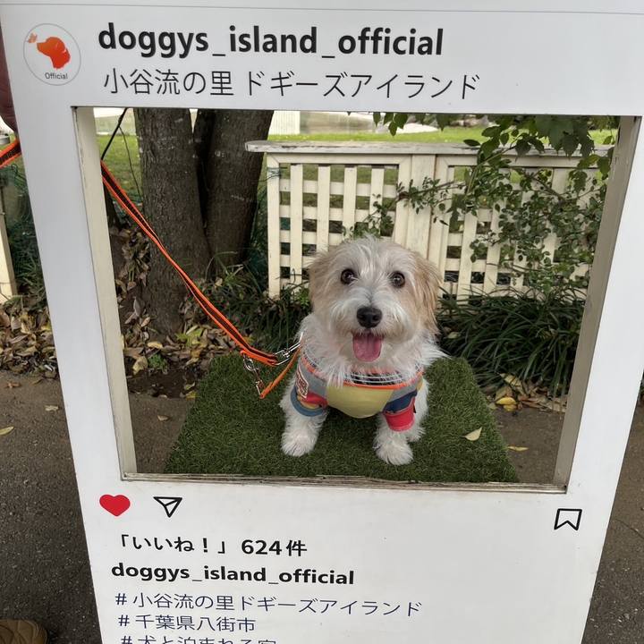 A43ea13d a604 4fe5 849d bbda6af3f2b5 1762079400196