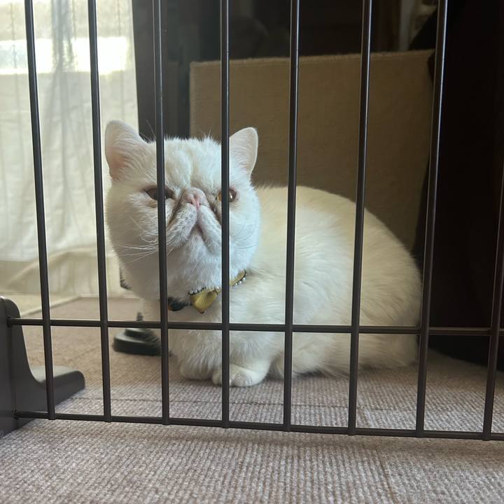 A43ea2a5 554f 4c21 ad58 10d1eb91a83c 1745028405872