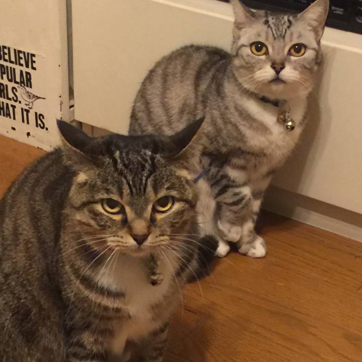 A43eac44 fcbb 487f 9483 e51d02eac8ec 1551000141327