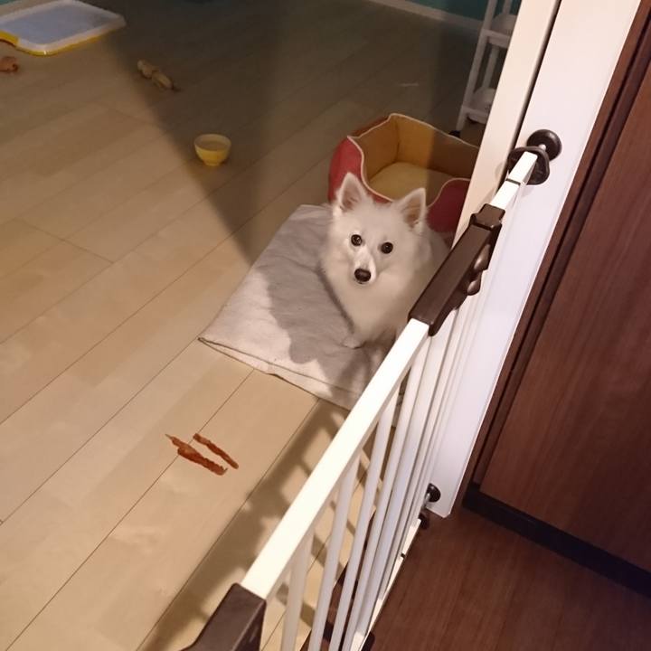 A43efc80 5442 4a1f 9700 0ffce73db078 1529477622115