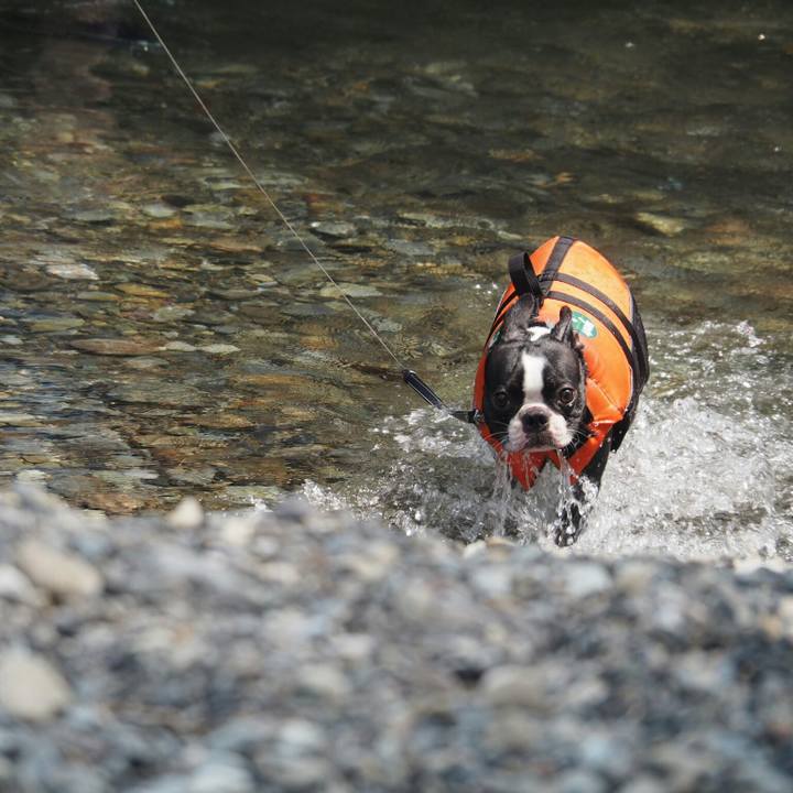 A43f3ed1 477a 47e0 a828 27895e698ac3 1533356760121