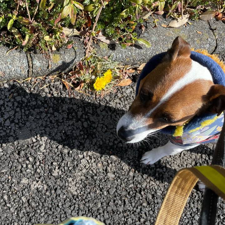 A43f8388 a2bb 4318 9126 c0b862184350 1647759701017