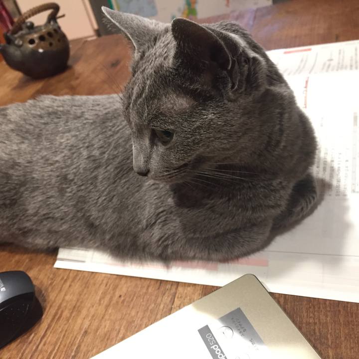 A43f93fe 24a4 428d 8ea6 cc6b16b17402 1526252716270