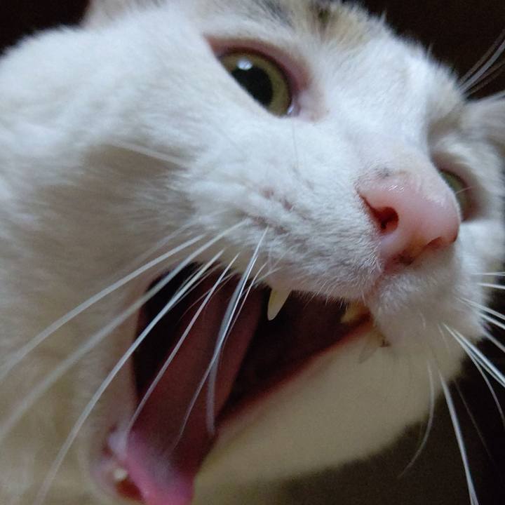 A43fa314 4fb0 4707 8d61 447ebbda078b 1603079026665