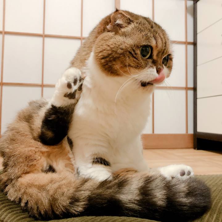 A43fbdc8 ff7b 4b34 957c a9596cf8e8eb 1581162997510