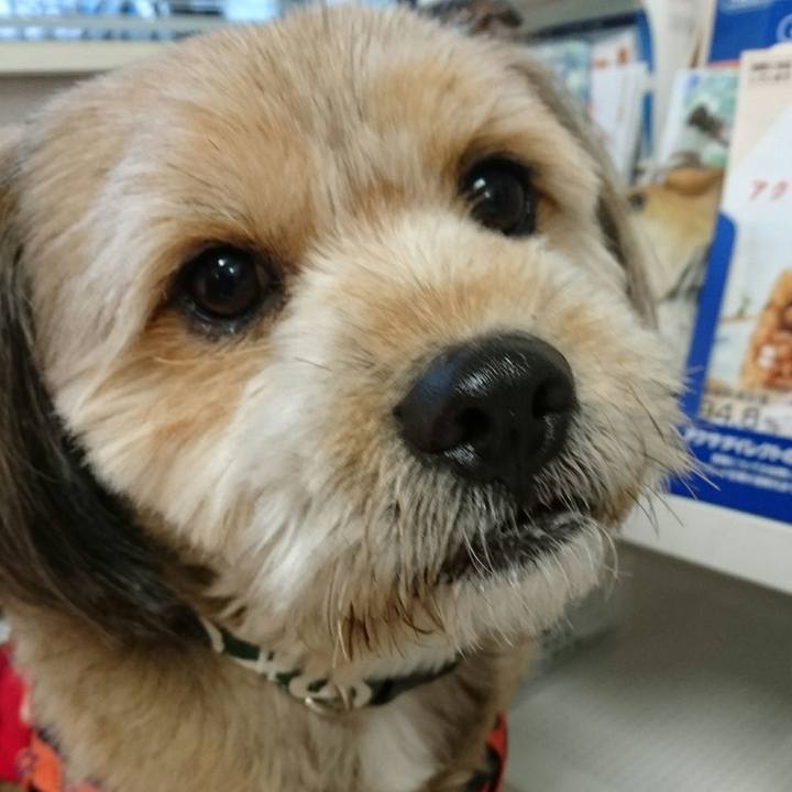 A43fc859 bc5c 46c3 b6ac 69fdbc7b2b41 1511519715984