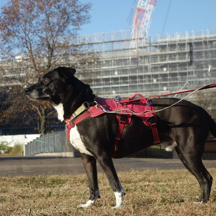 A43fecae a0eb 42e2 9f20 6601f3dcf1b3 1700529058342