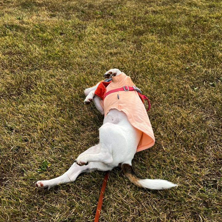 A4400f24 042f 4bc0 a8e2 4ace7427141d 1756611219229