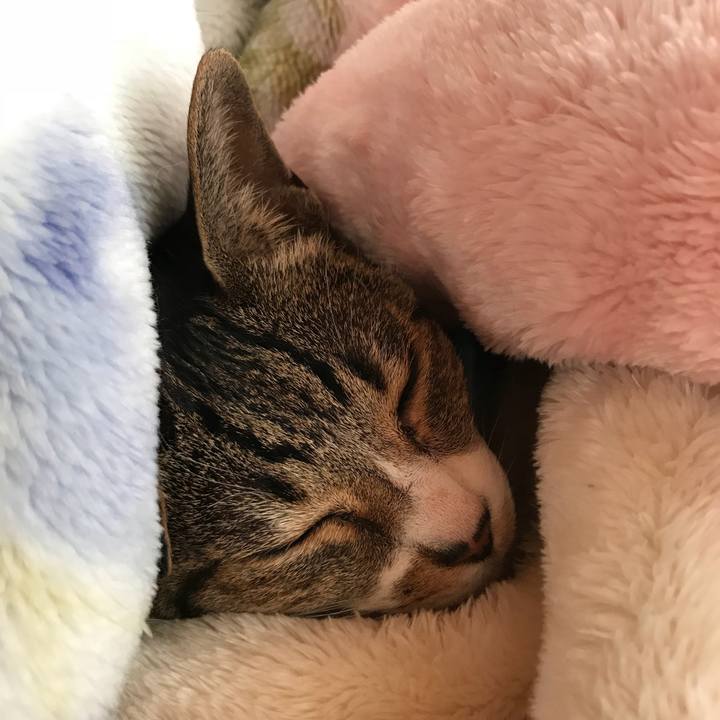 A4401dde 6d21 41f6 b81f 05b2f70b9fa9 1515547692445