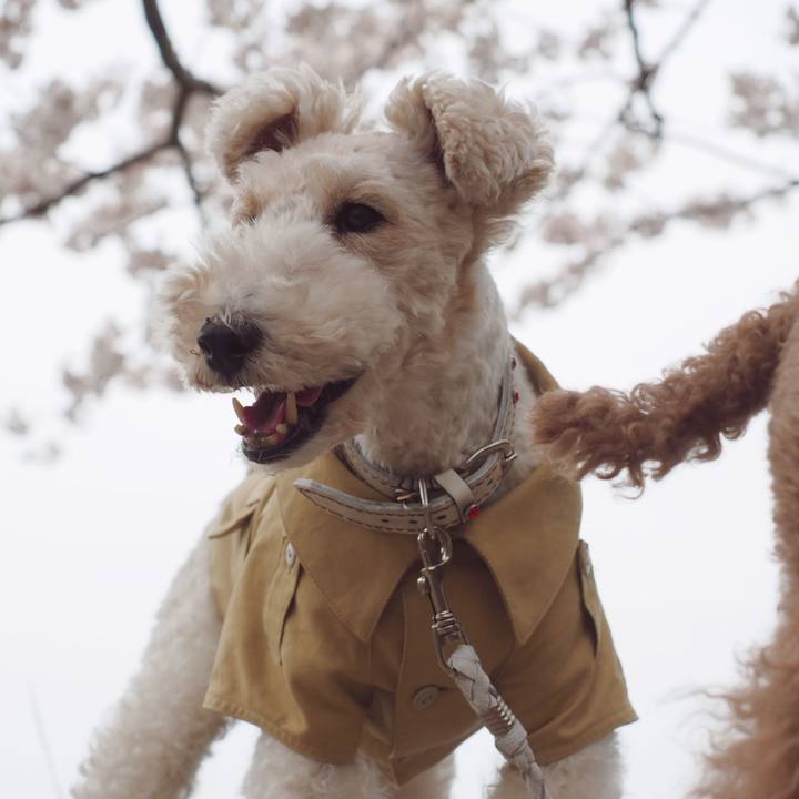 A4402123 3dab 4af6 ac1e 3e638d290079 1555206826171