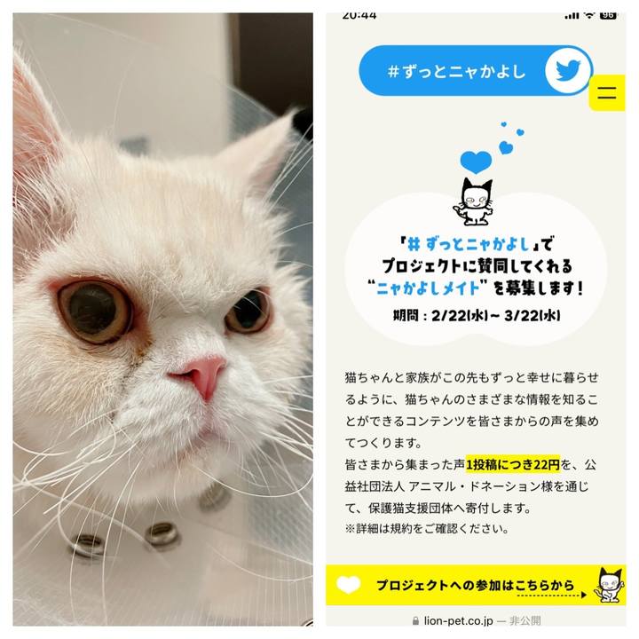 A440236a 7cb1 45ab 9ab9 bd5b1709153b 1677153044674