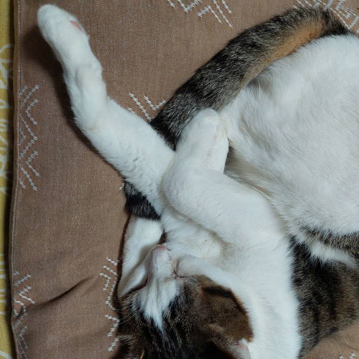 A440474b 695c 4e9a 8ea7 557aaea140bb 1689245484770