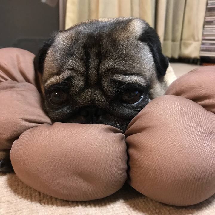 A4405c23 d496 4453 a6da 3797d6082323 1567597722925