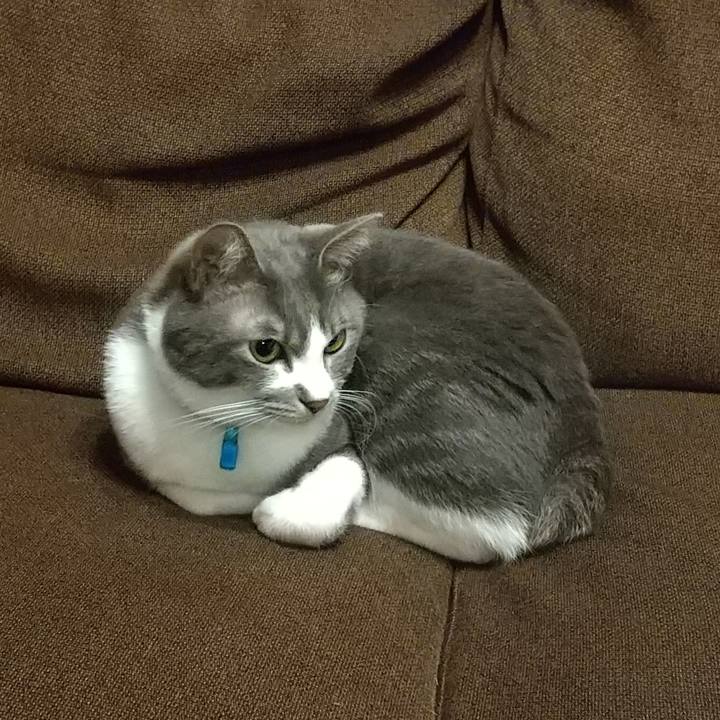 A4409497 5157 493b 8aca 39cfaeadce17 1614859290567