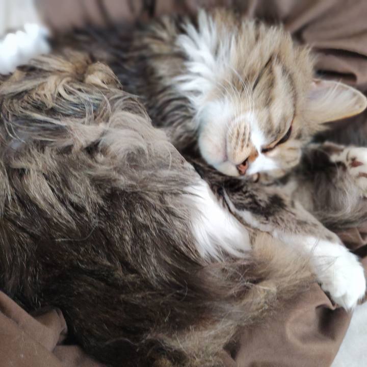 A440df62 1f50 44e7 bc89 39c0a476c525 1775788501542