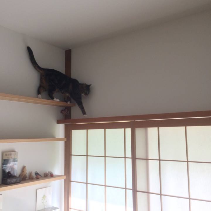 A440e8db c466 493f aad2 d5282315d2e6 1526902079647