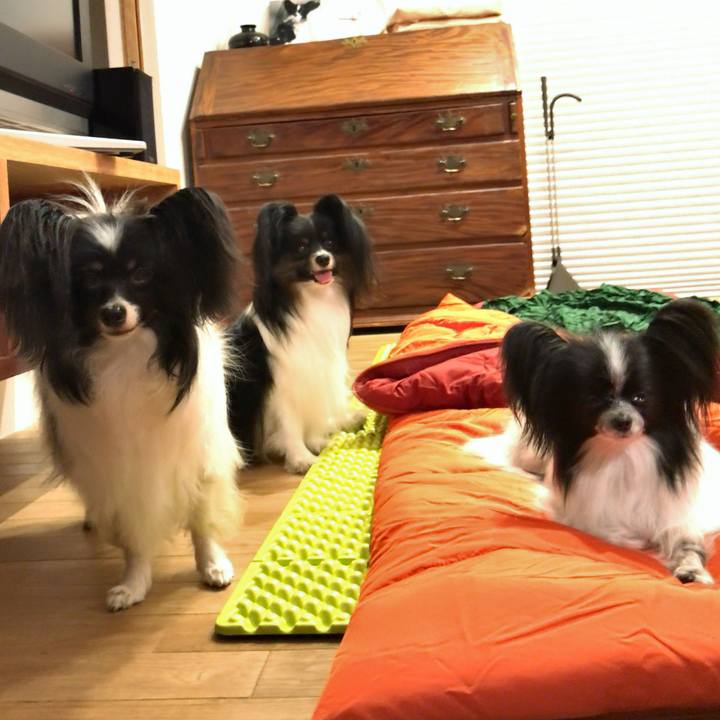 A44102ad 6770 49ec a9d1 bddb13ed4415 1525439488920