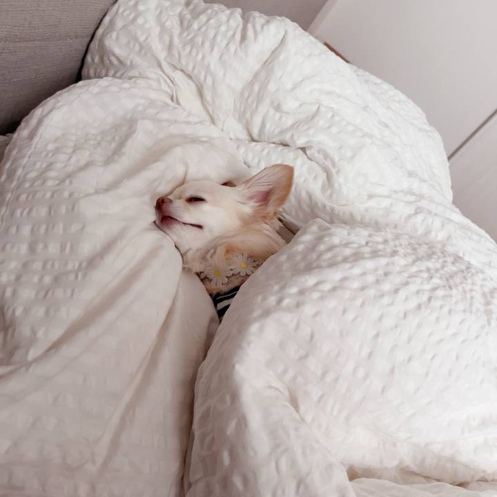 A4414515 a8aa 431d 9f96 3e8e99e559fc 1718949986405