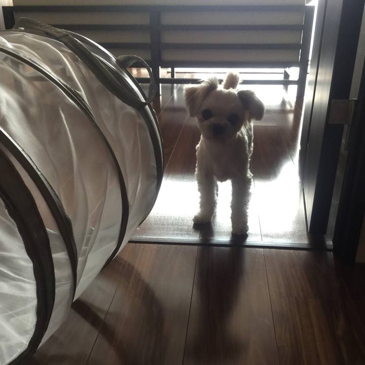 A4419474 6557 494b a660 5e529bdba683 1520671409113