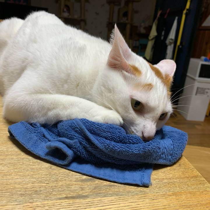 A441afe9 c475 4002 ad75 94a1cb75e061 1597582848872