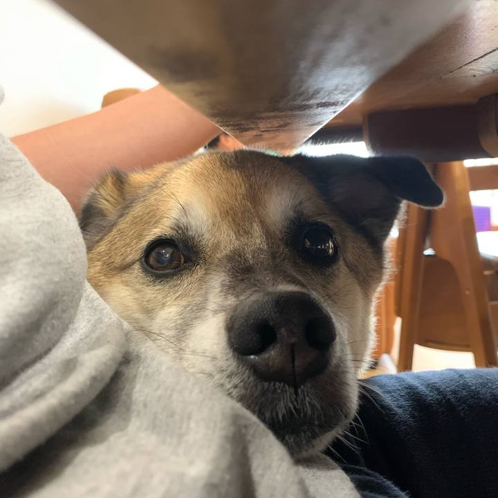 A441d66e 1a03 4ddd bc64 be8ce84676e9 1627173173073