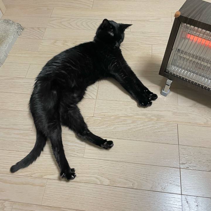 A441e062 172c 49d9 bb61 685cf090c157 1641805918059