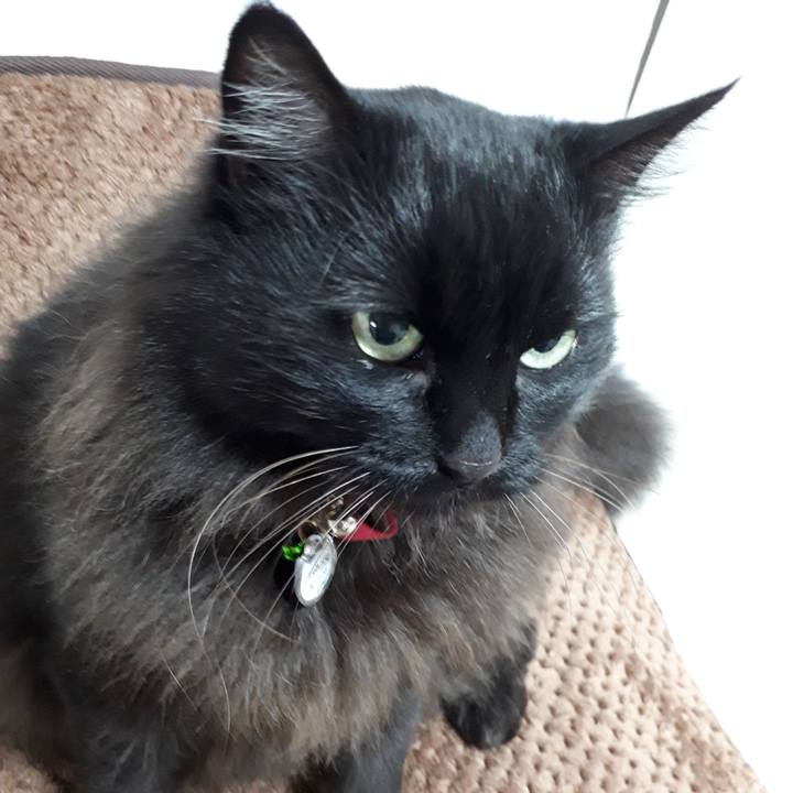 A441fcde 5c01 4cdf 9093 be45bb49455b 1521496033000