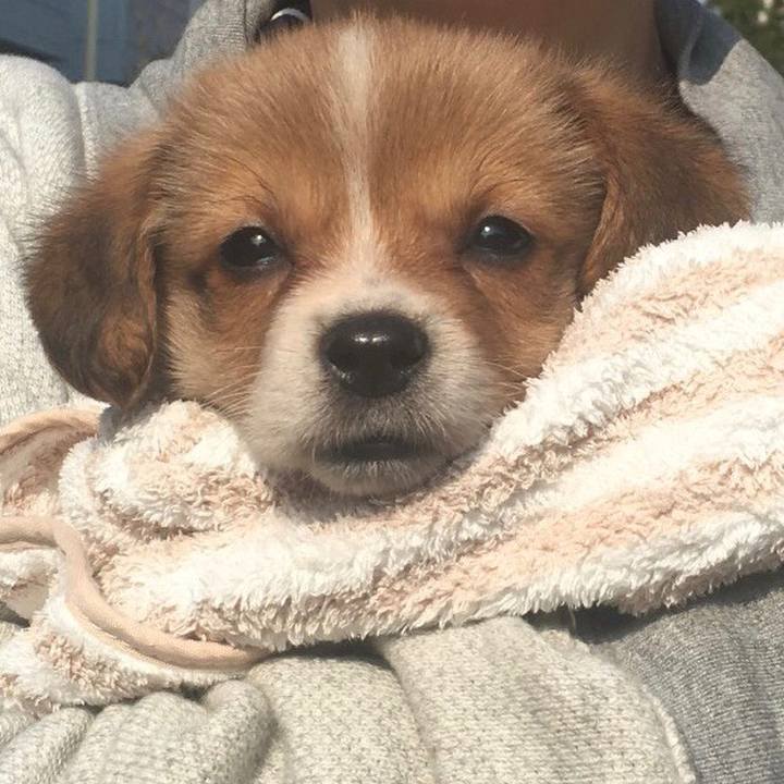 A4420e95 3447 40d2 93b5 aea976fcbd32 1615204703866