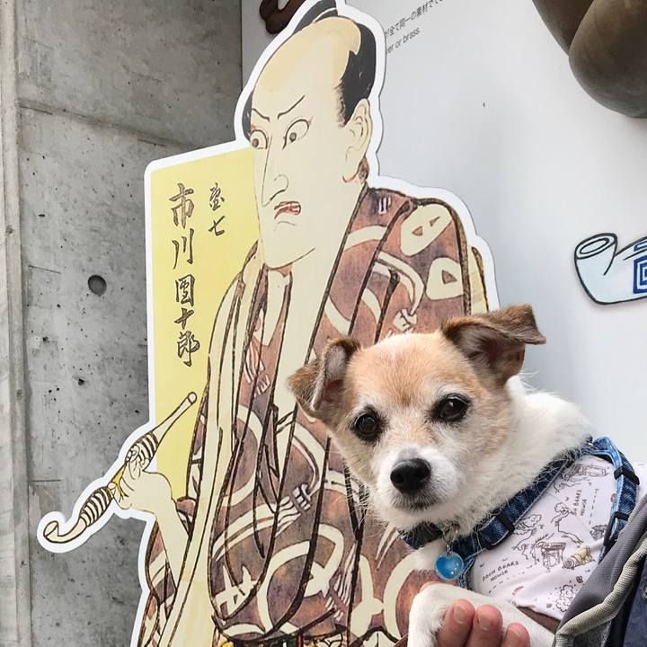 A4425d10 eea6 46ed 9c31 d8823aa74376 1666430515281