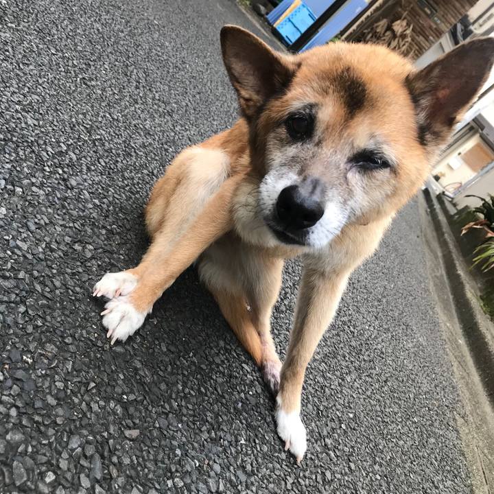 A44260ec b45e 49f6 aaca 9c52239a78a6 1564438438193