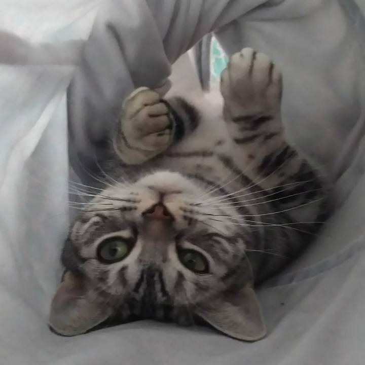 A4426c71 0b16 4f99 8478 ccdcf44435f7 1576236302429