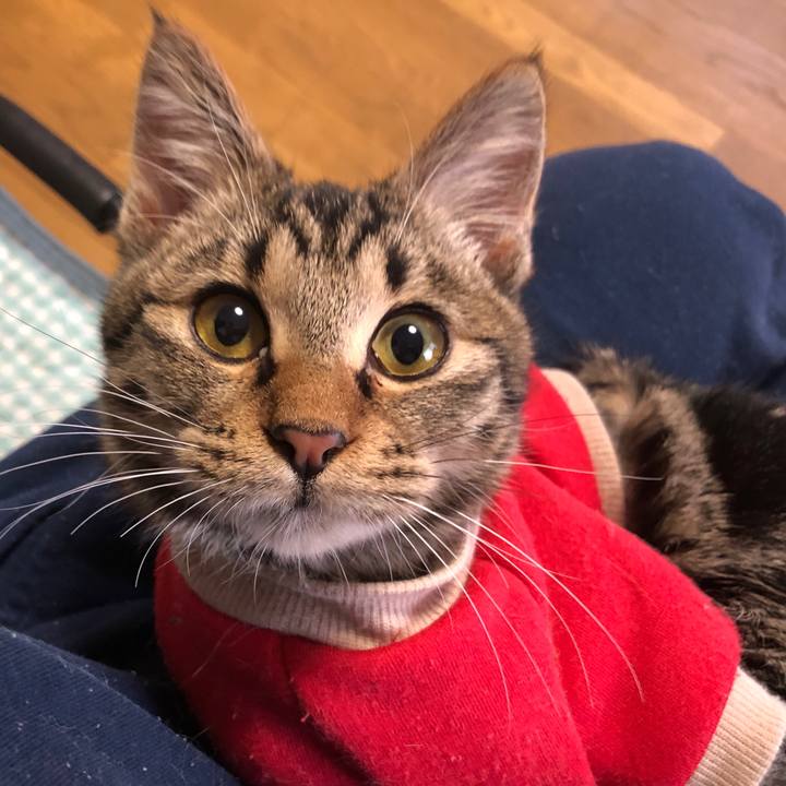 A4428088 a863 4d0b b59a 49d25942a328 1735165664877