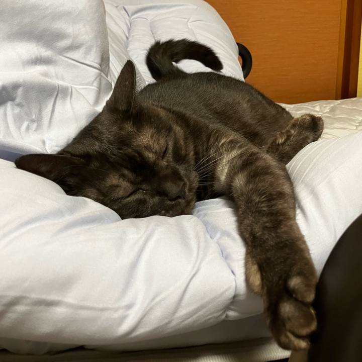 A442d39d 8e8f 4010 9a00 73798c8cd72e 1722997408763