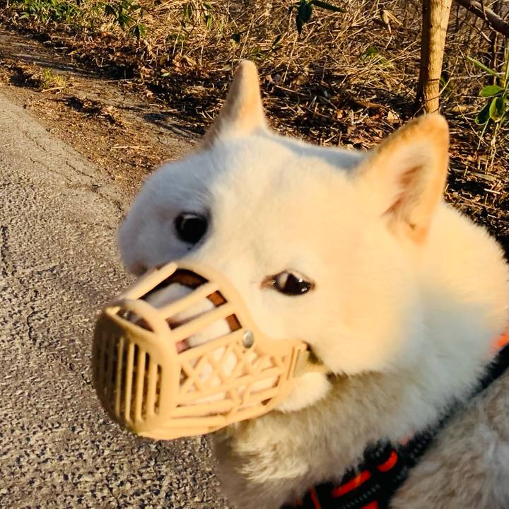 A442e72b 0d3e 4119 8505 cf8e83499971 1618092716073