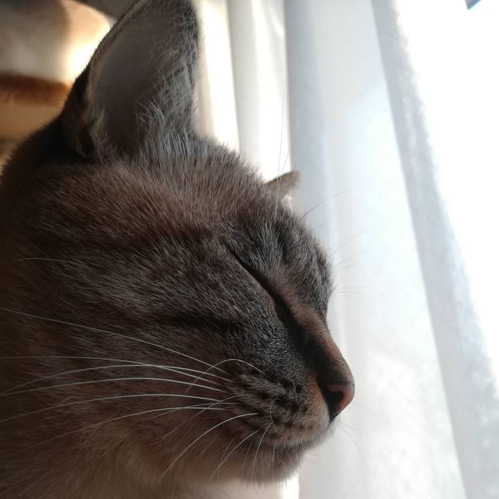 A442ef5c a4b9 42c3 a6fe 631bf034bddb 1541144076172