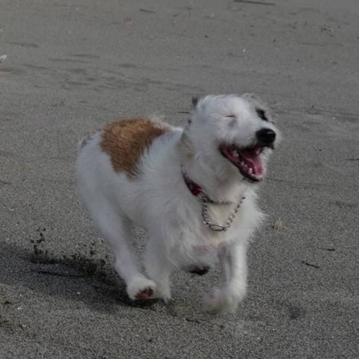 A4430ae2 e906 44ff aa8e 6fdee07321b9 1756251292841