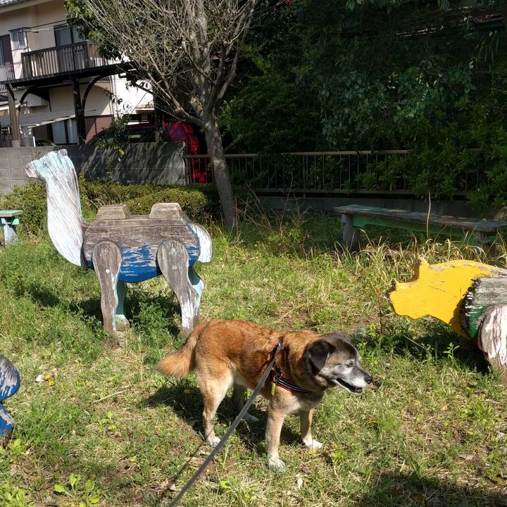 A4432939 3957 438b 8731 52d7f40525c3 1523578939090