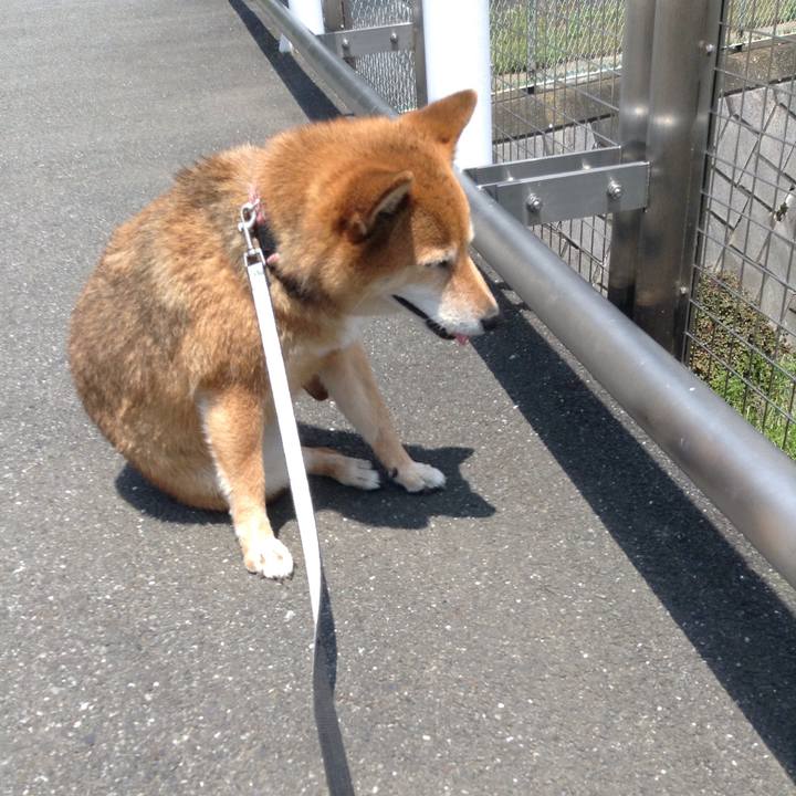 A4434e2c 1ef4 4863 bc84 3c7aa9c6e3b8 1528518777077