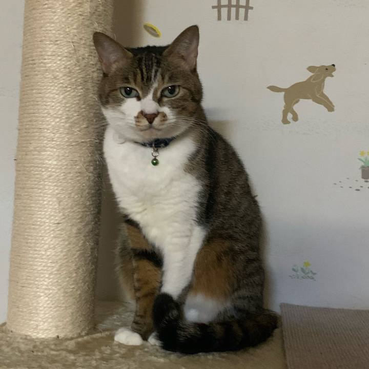 A44351c0 222e 4a27 8bf4 32cd79da6f3a 1641476482988