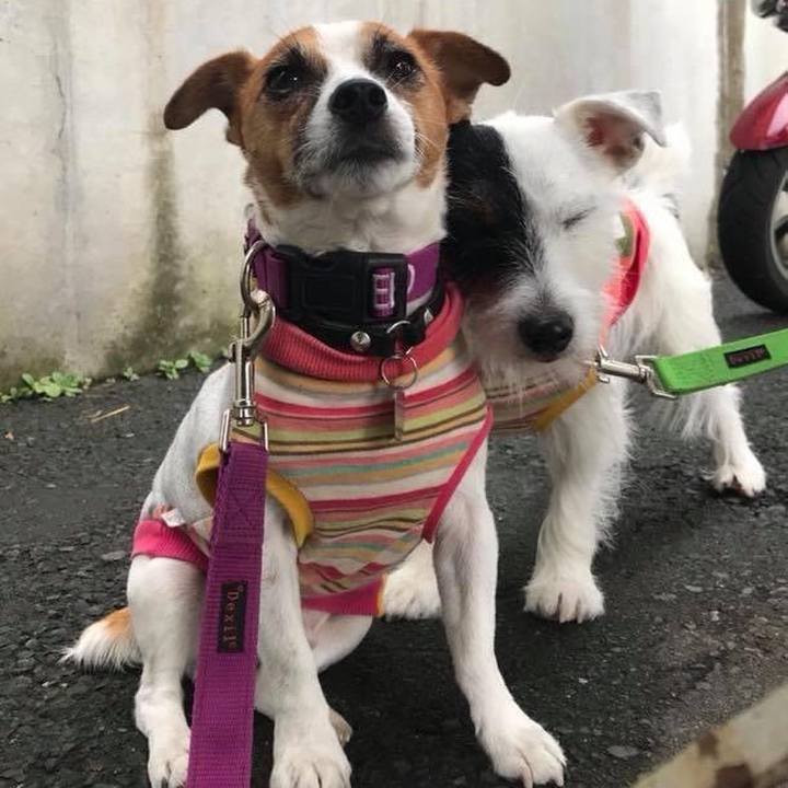 A443a1c4 ecb0 4fa7 a17d 592c566aecb6 1665703862082