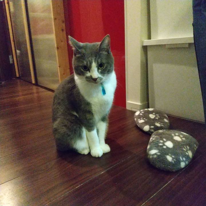 A44442ce f8cb 4569 9493 3da2d9b4b777 1642948508502