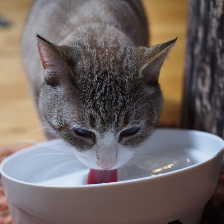 A4445062 609a 48e2 befb a28149033589 1594304340842